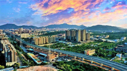 中山這條路出名了,入圍省 十大最美公路 候選路段 投它