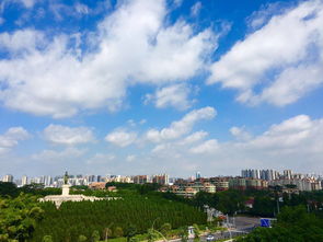 關乎每一位中山人的大事,請你務必要參加